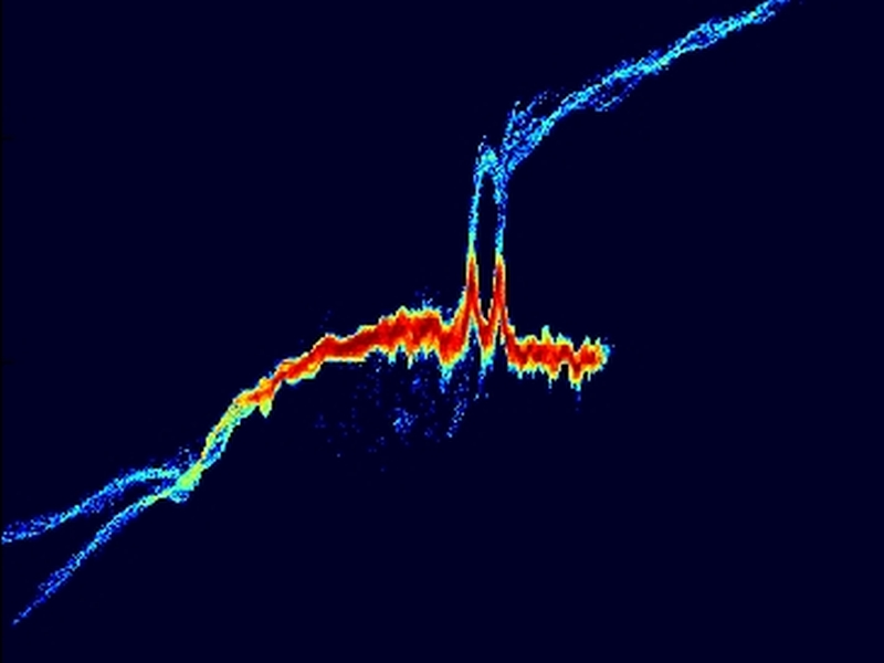 Sensors & Imaging