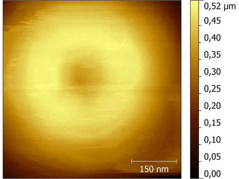 Nano & Bio Photonics